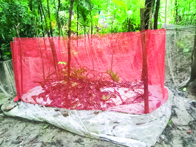 Image of মো: মিজানুর রহমান 